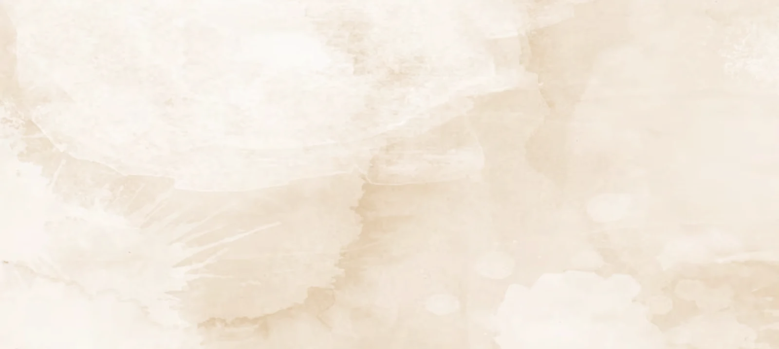 The Skin Studio Inc.