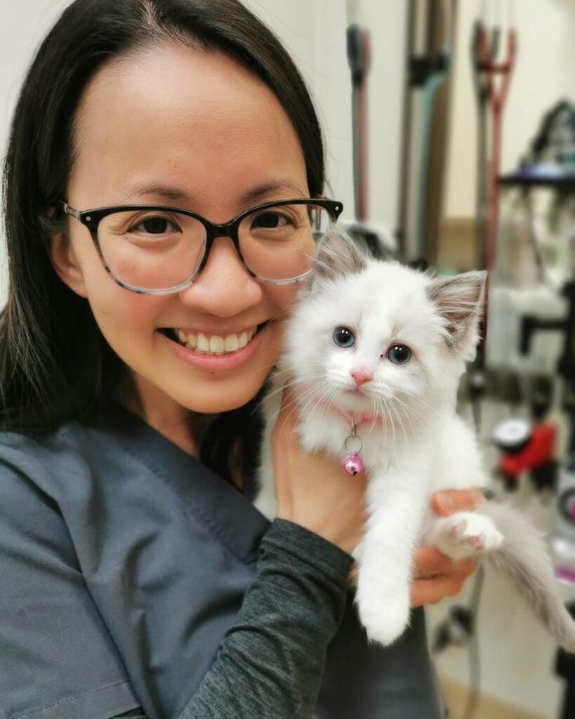 Bayview Wellington Veterinary Clinic