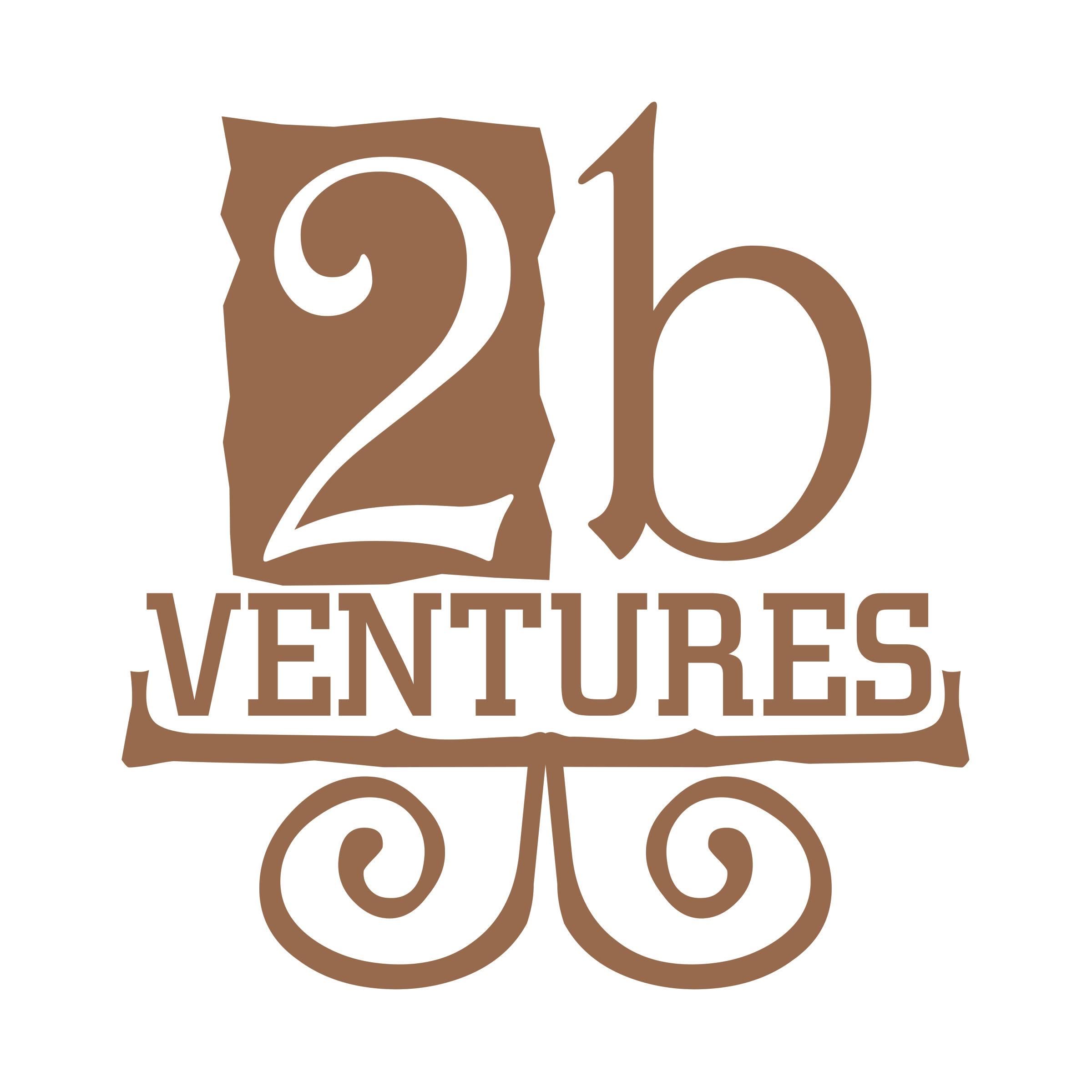 2b VENTURES