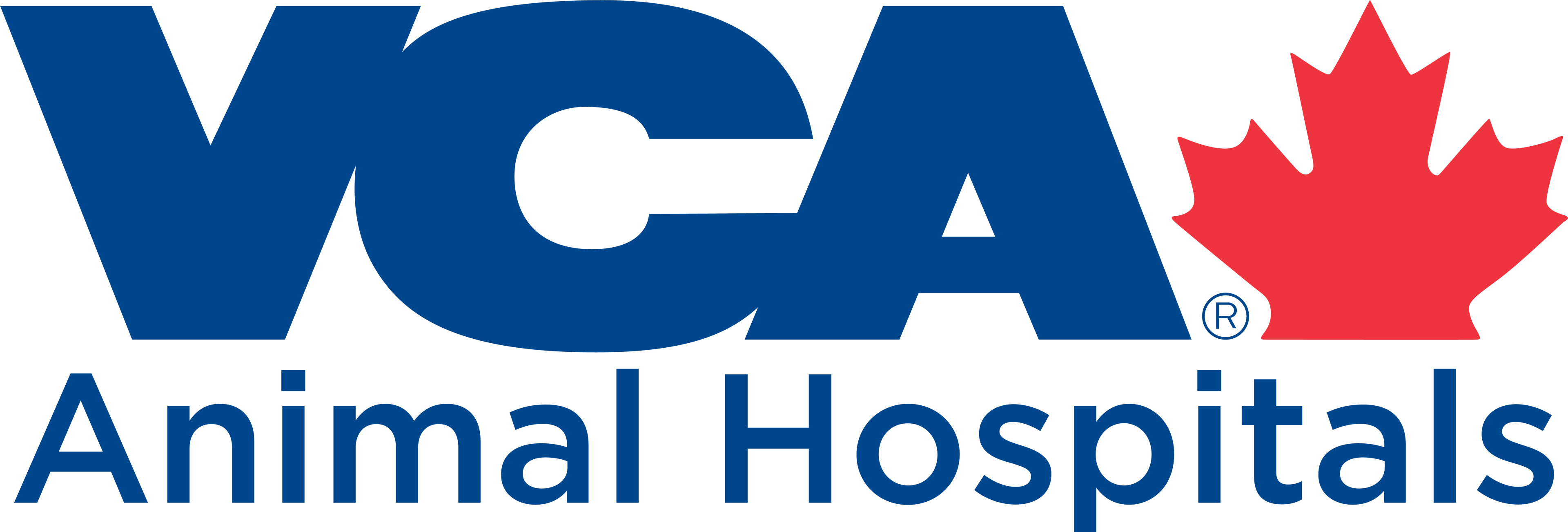404 Veterinary Emergency And Referral Hospital