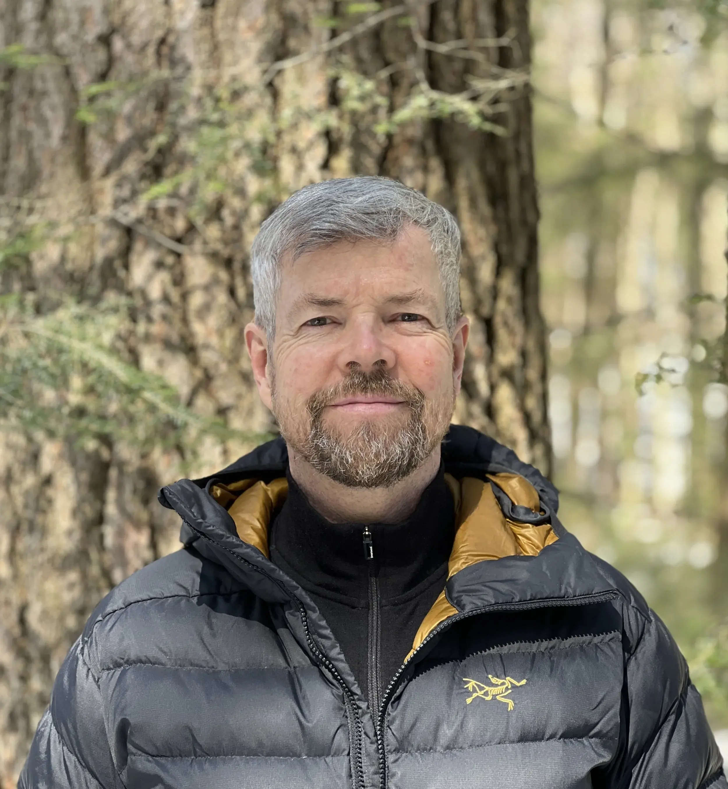 Brian Beech, Ph. D. Psychotherapy And Stress Reduction
