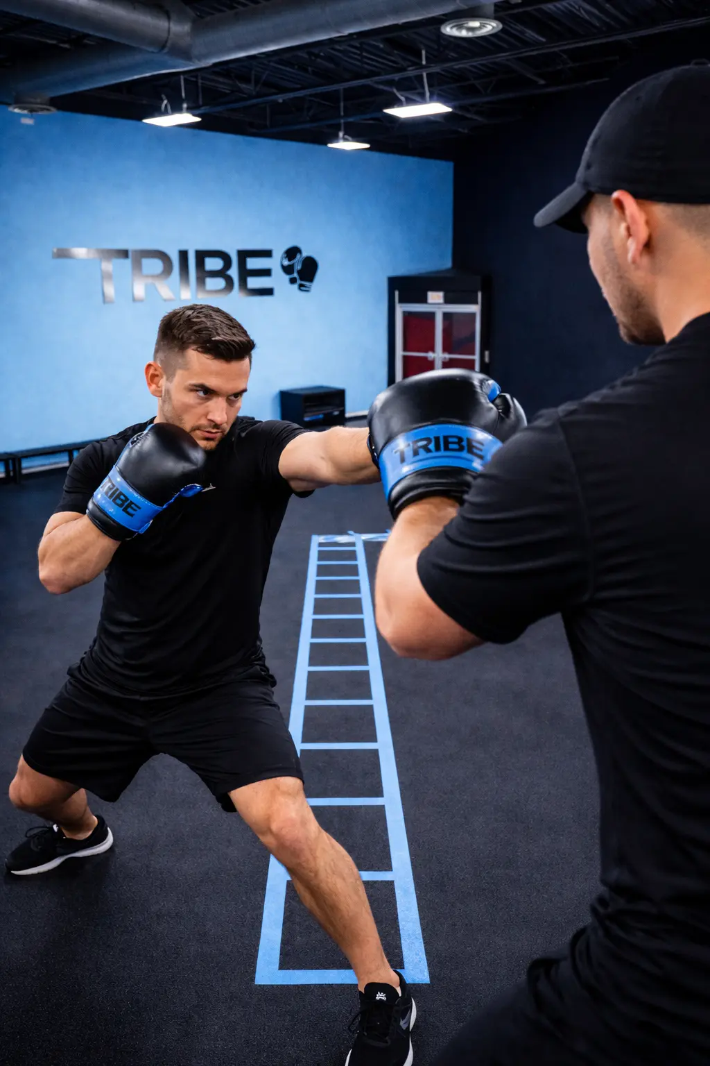 Tribe Studios