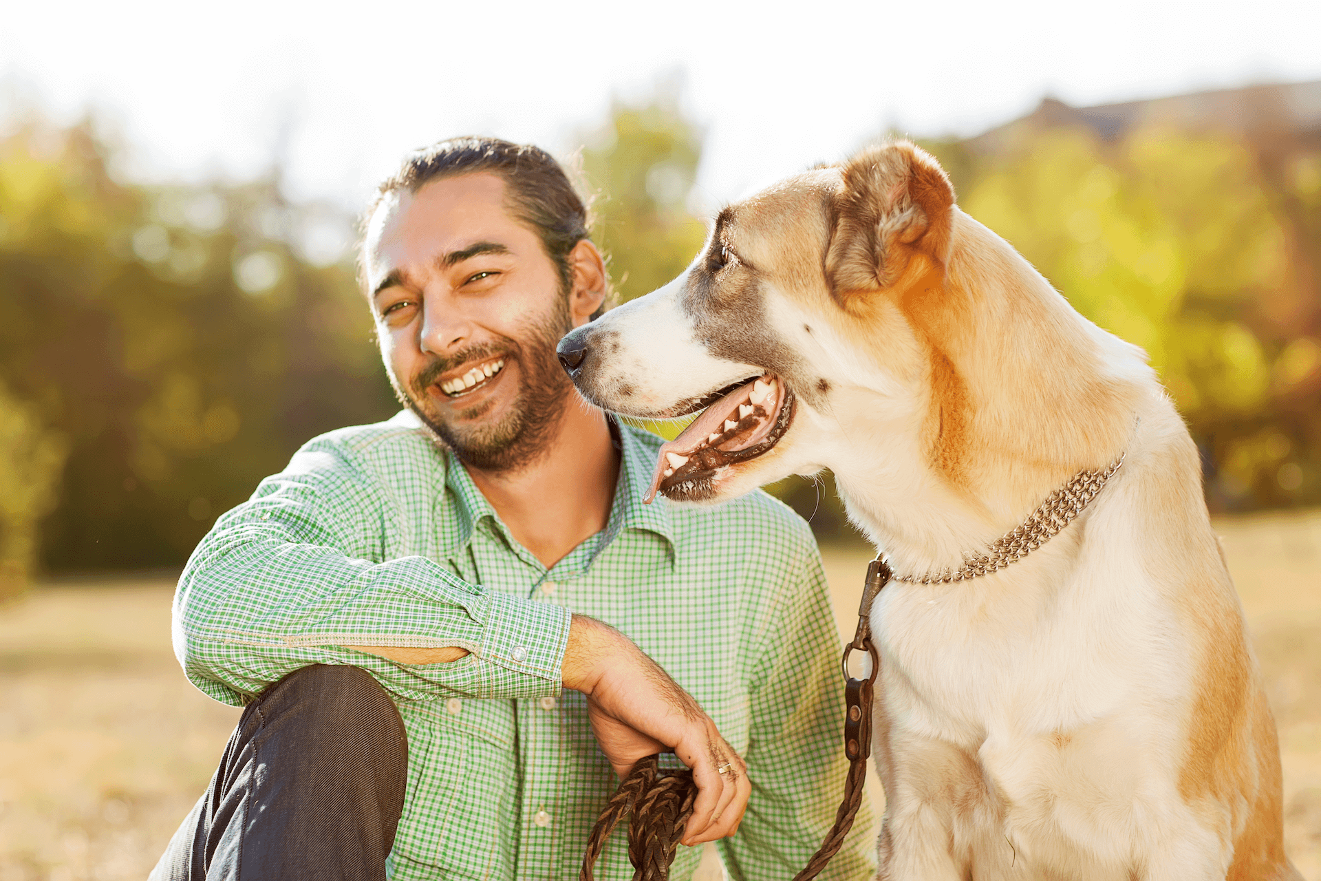 Veterinary Emergency, Urgent Care & Referral Clinic Of York Region