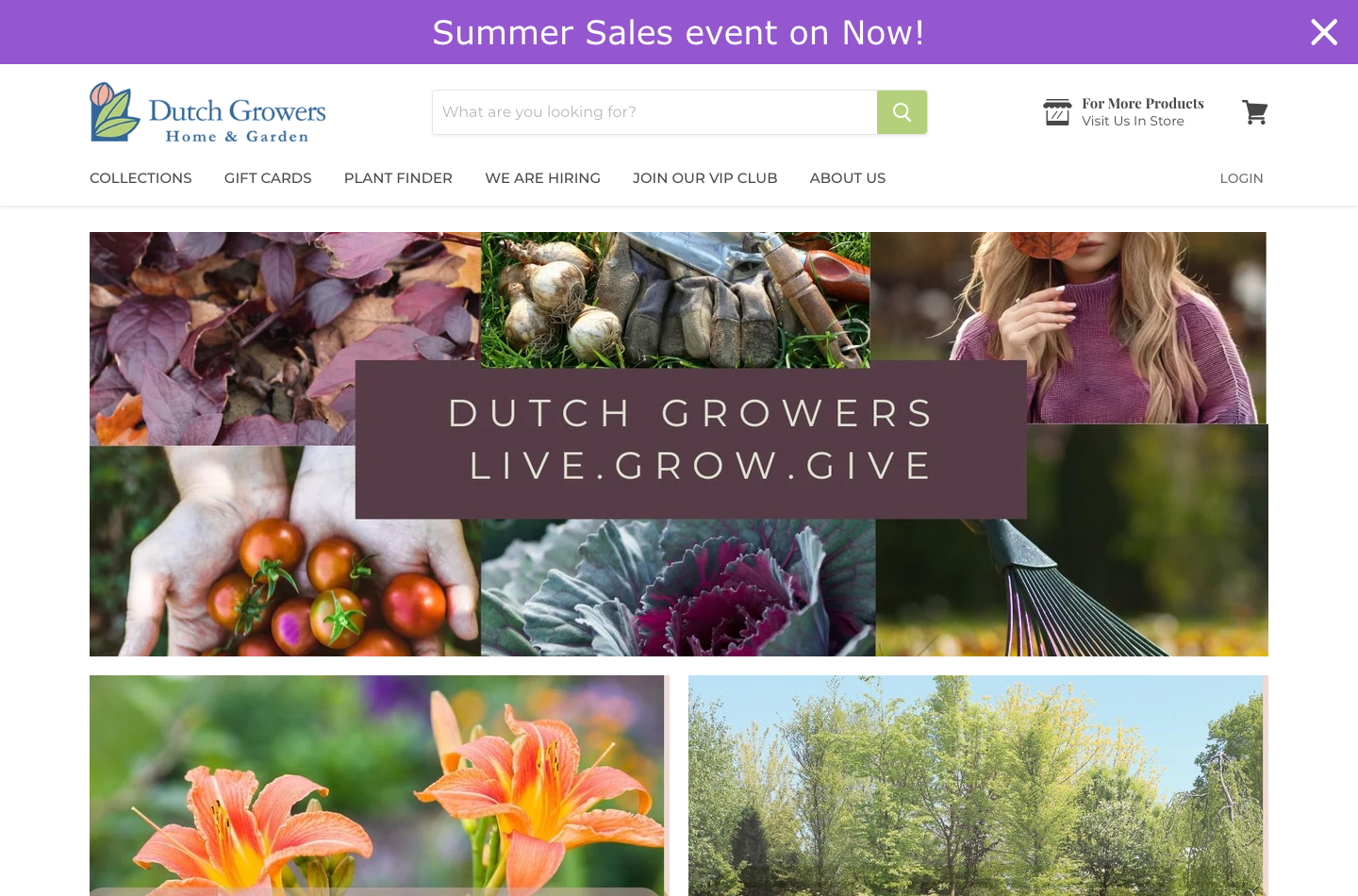 Dutch Growers Home and Garden - Regina