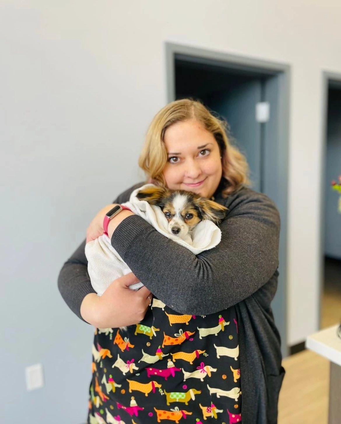 Brighton Veterinary Clinic