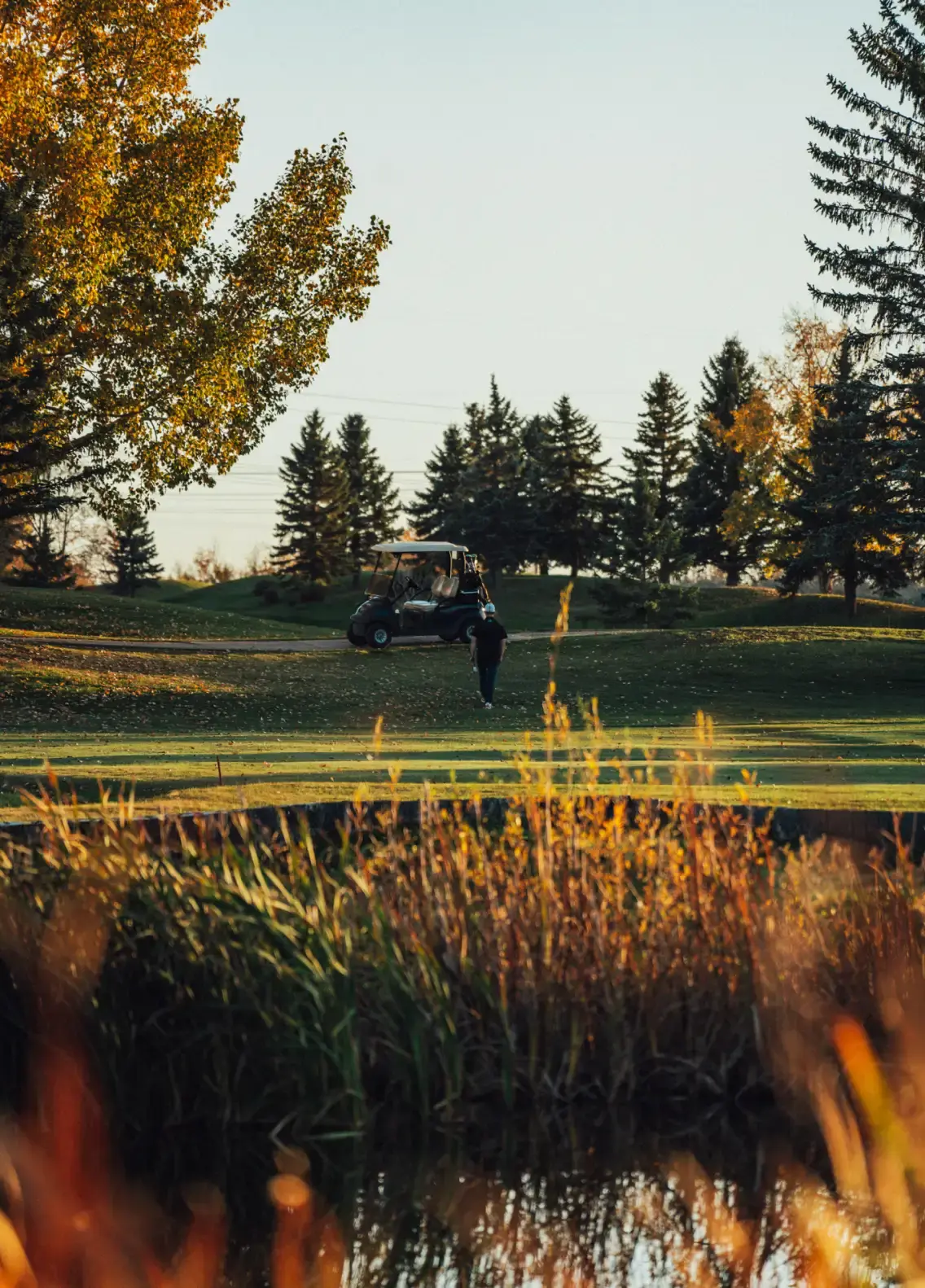 Willows Golf & Country Club, The