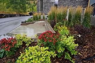Aspen Horticulture
